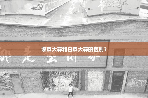 紫皮大蒜和白皮大蒜的区别？