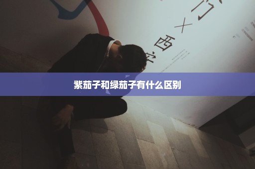紫茄子和绿茄子有什么区别