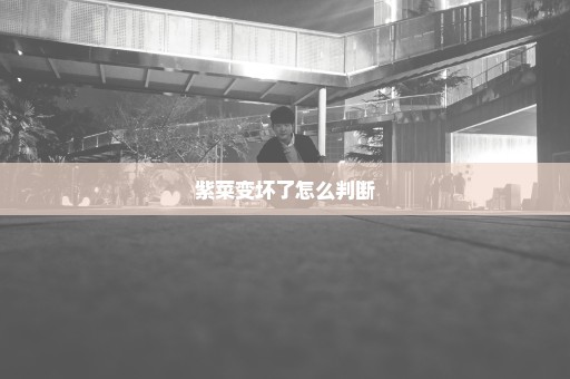 紫菜变坏了怎么判断