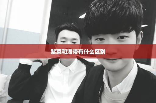 紫菜和海带有什么区别