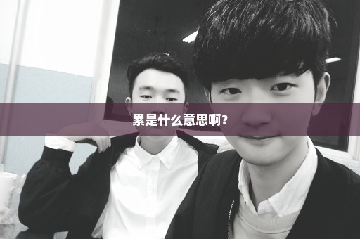 累是什么意思啊？