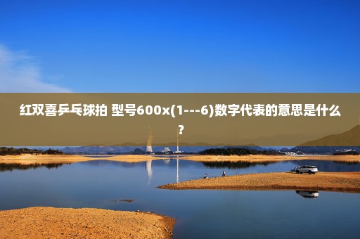 红双喜乒乓球拍 型号600x(1---6)数字代表的意思是什么？