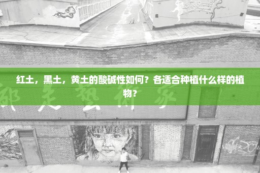 红土，黑土，黄土的酸碱性如何？各适合种植什么样的植物？