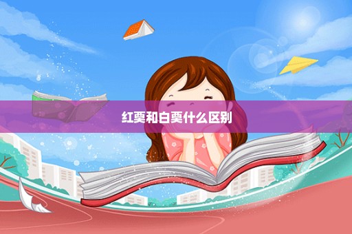 红奠和白奠什么区别