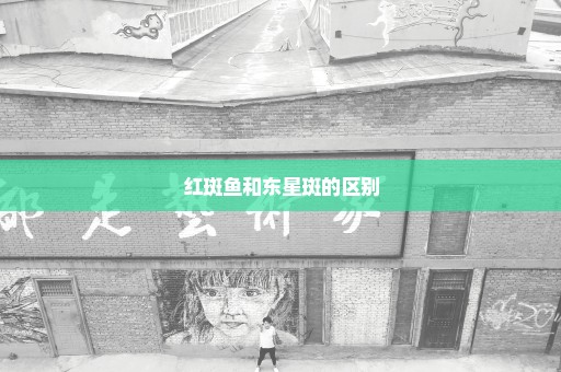 红斑鱼和东星斑的区别