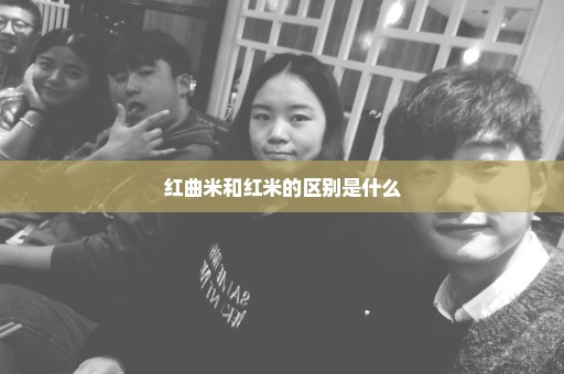 红曲米和红米的区别是什么