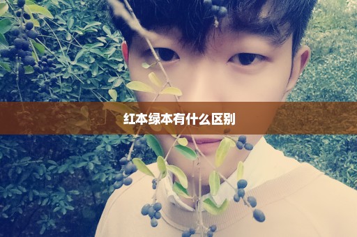 红本绿本有什么区别