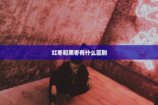 红枣和黑枣有什么区别