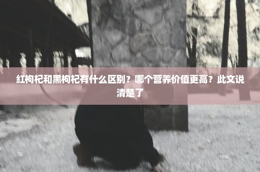 红枸杞和黑枸杞有什么区别？哪个营养价值更高？此文说清楚了