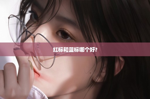 红标和蓝标哪个好?
