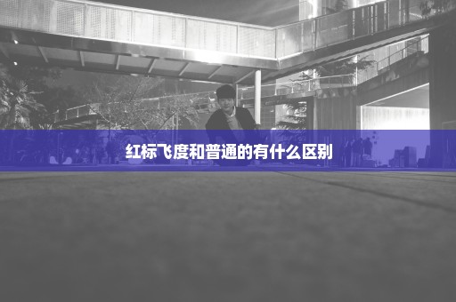 红标飞度和普通的有什么区别