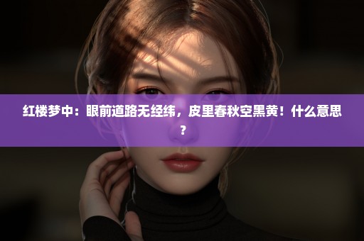 红楼梦中：眼前道路无经纬，皮里春秋空黑黄！什么意思？