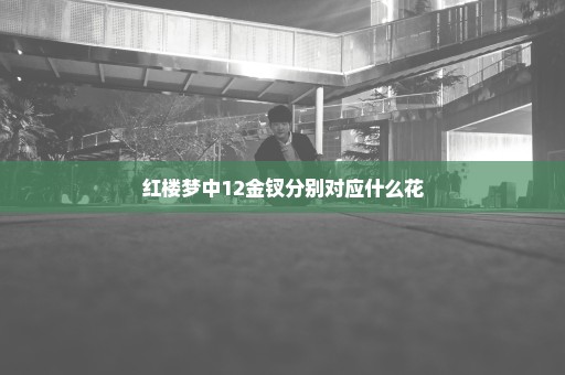 红楼梦中12金钗分别对应什么花