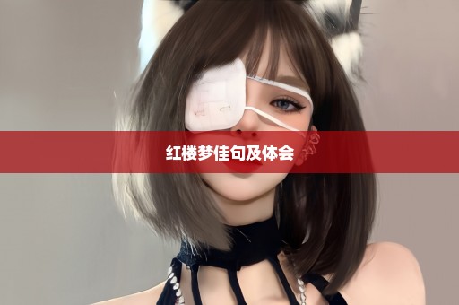 红楼梦佳句及体会