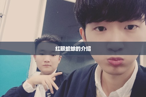 红眼蟾蜍的介绍