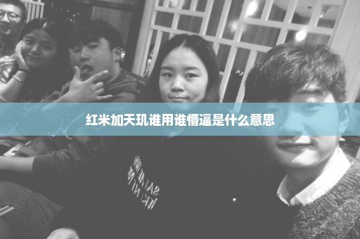 红米加天玑谁用谁懵逼是什么意思