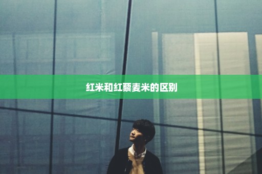 红米和红藜麦米的区别