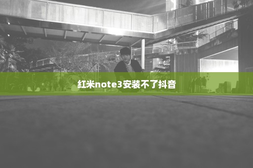 红米note3安装不了抖音
