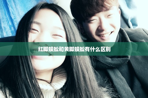 红脚蜈蚣和黄脚蜈蚣有什么区别