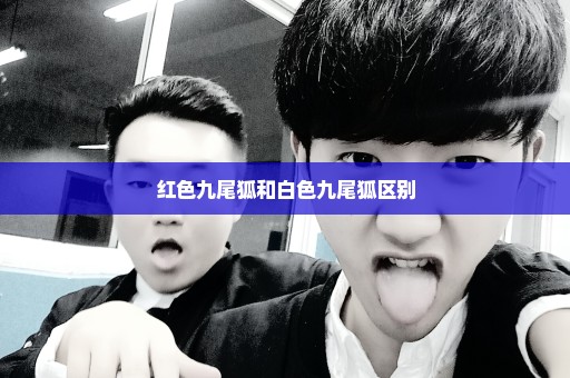 红色九尾狐和白色九尾狐区别