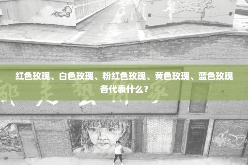 红色玫瑰、白色玫瑰、粉红色玫瑰、黄色玫瑰、蓝色玫瑰各代表什么？