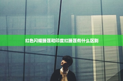 红色闪耀睡莲和印度红睡莲有什么区别