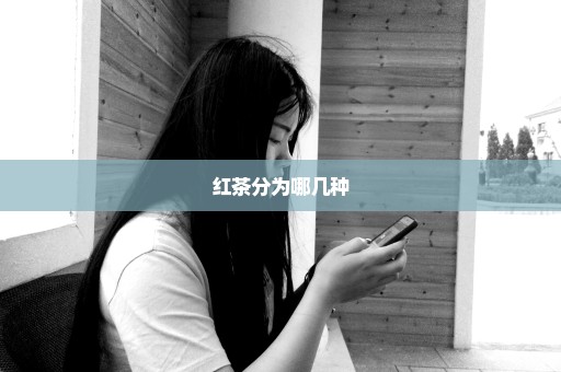 红茶分为哪几种