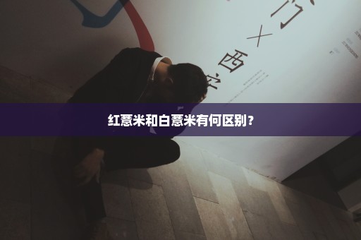 红薏米和白薏米有何区别？
