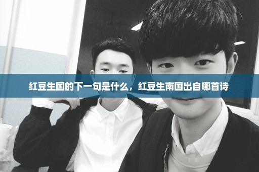 红豆生国的下一句是什么，红豆生南国出自哪首诗 
