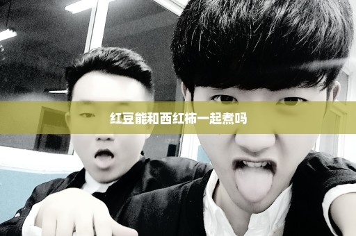 红豆能和西红柿一起煮吗