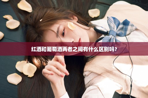 红酒和葡萄酒两者之间有什么区别吗？
