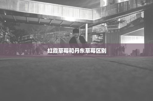 红霞草莓和丹东草莓区别