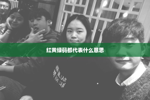 红黄绿码都代表什么意思