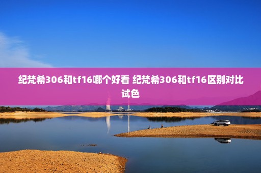 纪梵希306和tf16哪个好看 纪梵希306和tf16区别对比试色