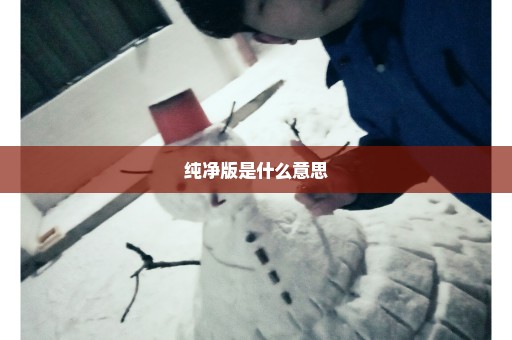 纯净版是什么意思