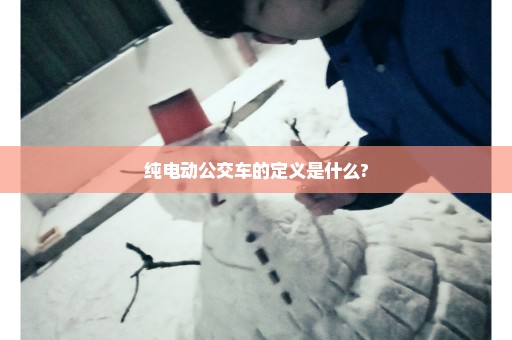 纯电动公交车的定义是什么?