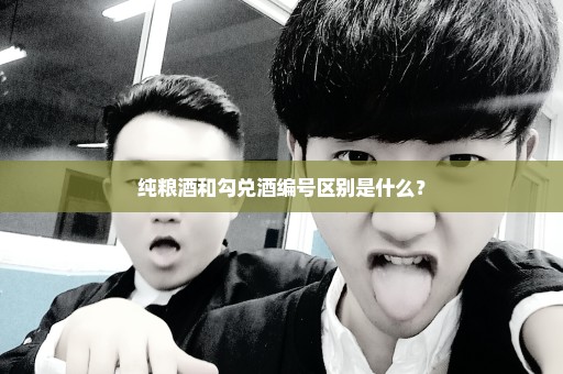 纯粮酒和勾兑酒编号区别是什么？
