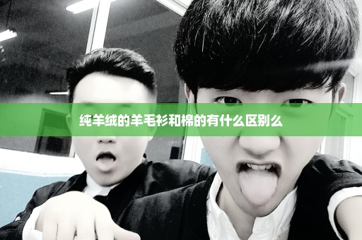 纯羊绒的羊毛衫和棉的有什么区别么