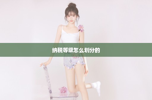 纳税等级怎么划分的