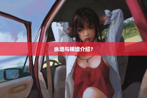 纵墙与横墙介绍？