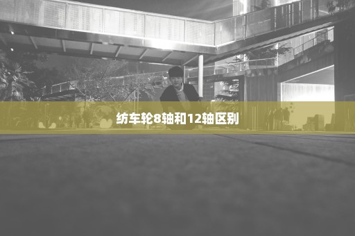 纺车轮8轴和12轴区别