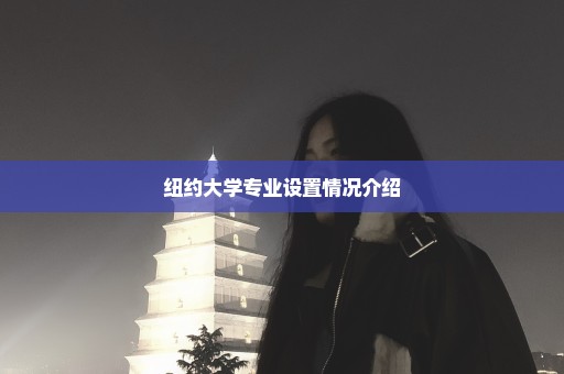 纽约大学专业设置情况介绍