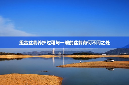 组合盆栽养护过程与一般的盆栽有何不同之处