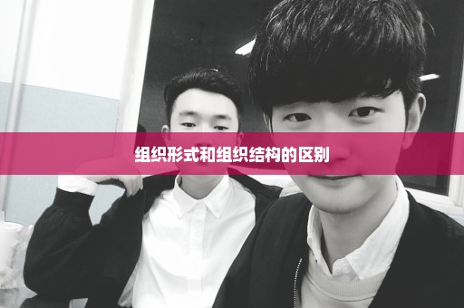 组织形式和组织结构的区别