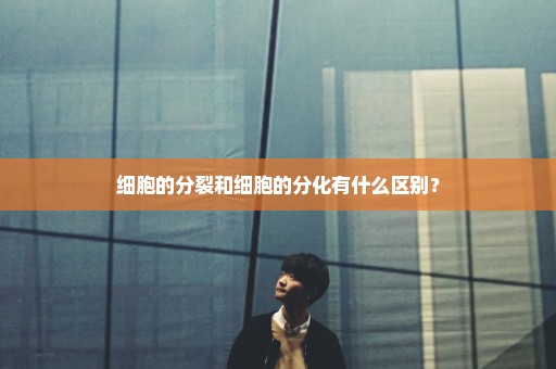 细胞的分裂和细胞的分化有什么区别？