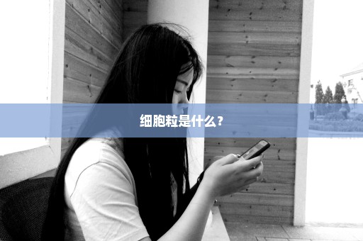 细胞粒是什么？