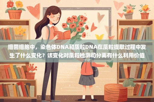 细菌细胞中，染色体DNA和质粒DNA在质粒提取过程中发生了什么变化？该变化对质粒检测和分离有什么利用价值