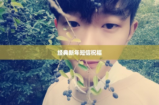 经典新年短信祝福