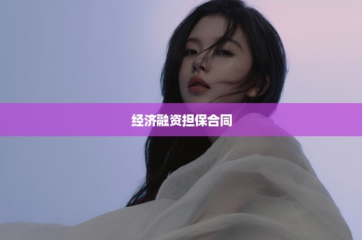 经济融资担保合同