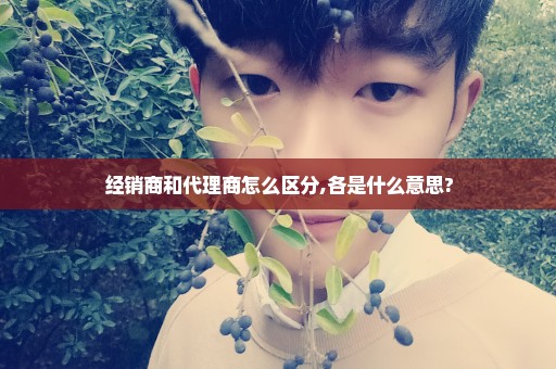 经销商和代理商怎么区分,各是什么意思?